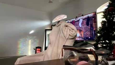 controllercutie online show from 12-17-25, 02:45