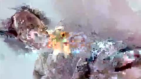 Snapshot of cook135710 chatting on 11-17-25, 07:08 Mount N Drew online show from 11-17-25, 07:08