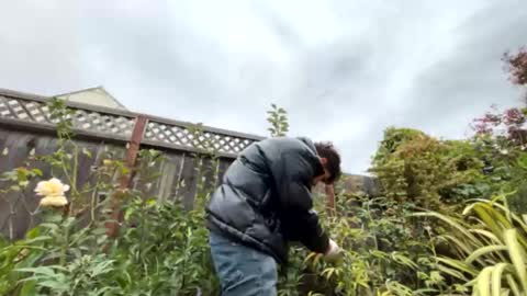 Snapshot of coronelking chatting on 09-28-25, 10:26 coronelking online show from 09-28-25, 10:26