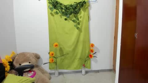 Snapshot of corzoethan chatting on 02-22-25, 01:55 Ethan online show from 02-22-25, 01:55