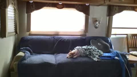 Chester  Melissa online show from 02-24-25, 06:15