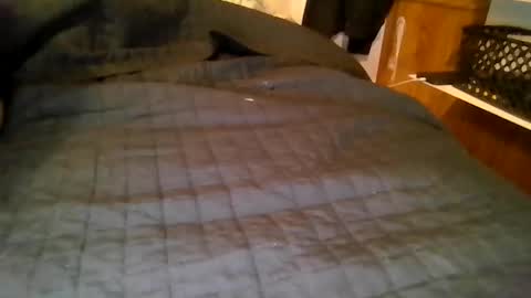 Snapshot of cosmoandwandafr chatting on 03-19-26, 08:07 your local abrasive ALT couple online show from 03-19-26, 08:07