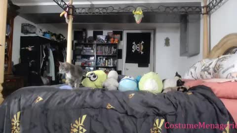 Snapshot of costumemenagerie chatting on 03-26-26, 10:04 Amethyst Cox online show from 03-26-26, 10:04