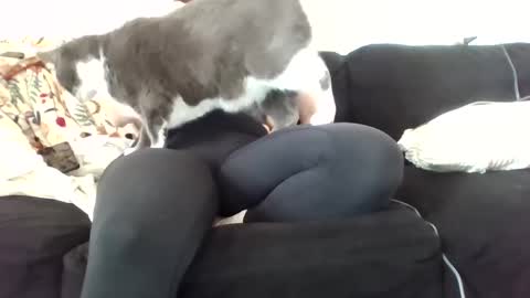 Snapshot of courtxoxo_o chatting on 02-20-25, 09:31 courtxoxo_o online show from 02-20-25, 09:31