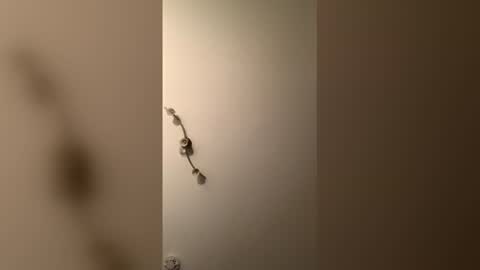 cp1a online show from 12-18-25, 08:37