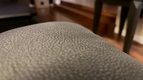 Snapshot of cranada777 chatting on 02-27-26, 01:49 Cranada777 online show from 02-27-26, 01:49