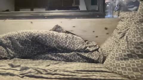 crapaud75018 online show from 01-08-25, 06:20