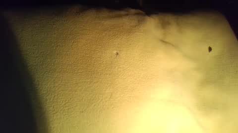 crave_me_ online show from 11-29-25, 03:53