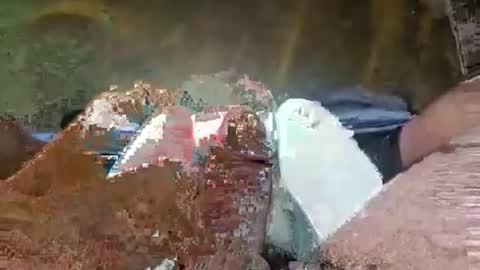 Crazycock online show from 07-07-26, 05:06