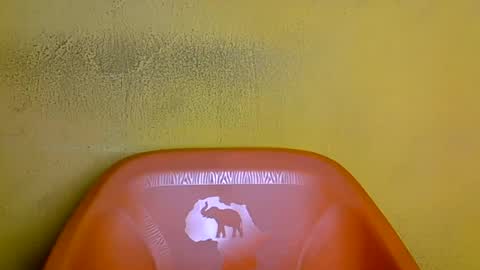 creamyposh1 online show from 07-28-26, 02:13