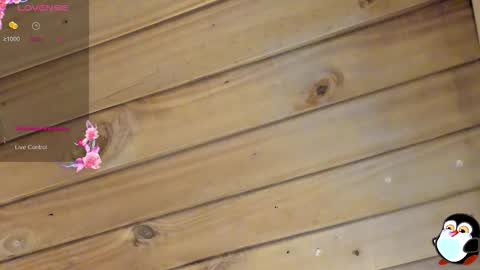 Cristal online show from 03-22-26, 04:05