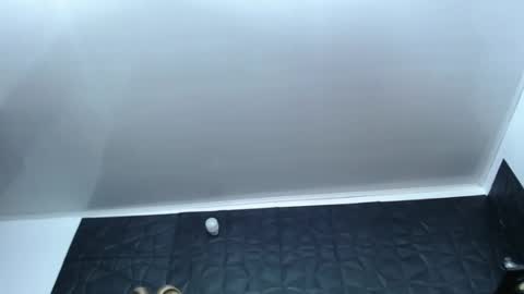 Snapshot of cristal_smith06 chatting on 12-17-24, 10:12 Hanna  online show from 12-17-24, 10:12