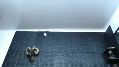 Snapshot of cristal_smith06 chatting on 02-13-25, 04:54 Hanna  online show from 02-13-25, 04:54