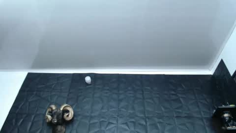 Snapshot of cristal_smith06 chatting on 02-27-25, 05:56 Hanna  online show from 02-27-25, 05:56