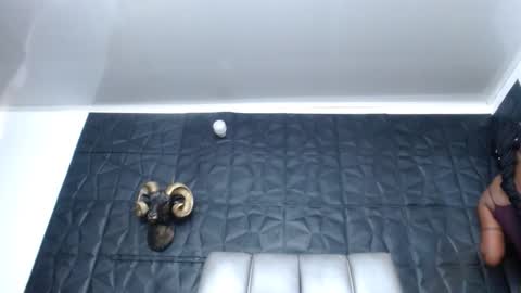 Hanna  online show from 10-26-25, 11:27