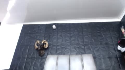 Snapshot of cristal_smith06 chatting on 03-15-26, 02:01 Hanna online show from 03-15-26, 02:01