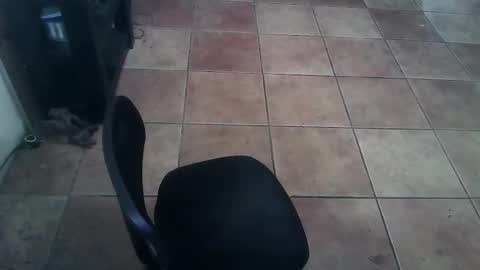 Snapshot of crossdressernola504 chatting on 02-26-26, 06:29 crossdressernola504 online show from 02-26-26, 06:29