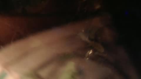 Snapshot of cryan78 chatting on 02-02-25, 06:31 cryan96 online show from 02-02-25, 06:31