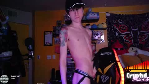 Snapshot of cryptidtwink chatting on 02-19-26, 06:53 CryptidTwink online show from 02-19-26, 06:53