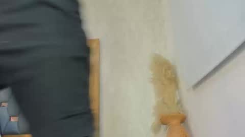 crystal_sm online show from 02-27-26, 03:06