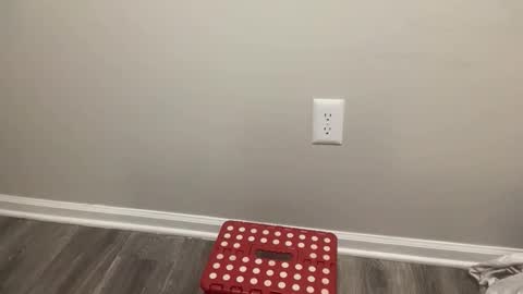 BlacTrojan OF online show from 02-04-26, 08:47