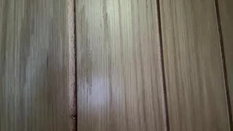 cum_nicky online show from 04-23-26, 10:25