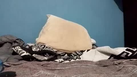 Snapshot of cumbian_chero chatting on 02-22-25, 01:22 cumbian_chero online show from 02-22-25, 01:22