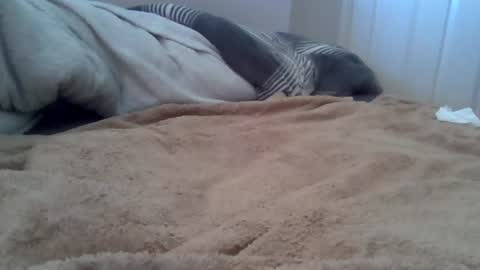 Snapshot of cummbumm69 chatting on 07-12-26, 10:28 cummbumm69 online show from 07-12-26, 10:28