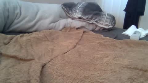 Snapshot of cummbumm69 chatting on 08-02-26, 12:14 cummbumm69 online show from 08-02-26, 12:14