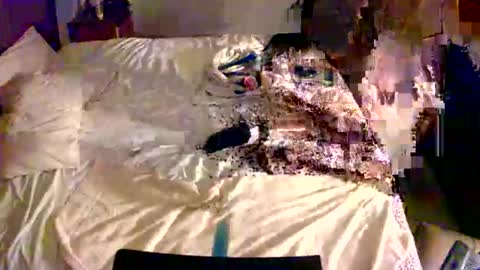 Snapshot of cummerforyouu chatting on 02-13-26, 10:33 Mike Smalls online show from 02-13-26, 10:33