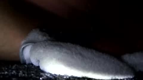 Aprilia online show from 01-14-25, 11:10