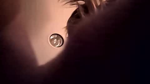 Snapshot of cumupxxx chatting on 11-17-25, 11:49 cumupxxx online show from 11-17-25, 11:49