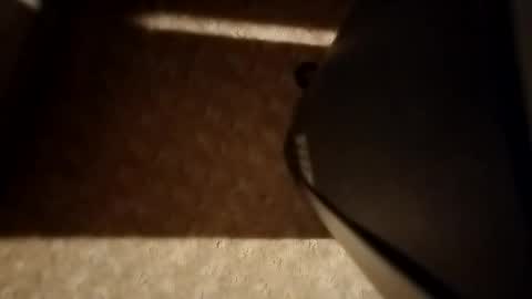 cumwith_me80 online show from 04-08-26, 09:31