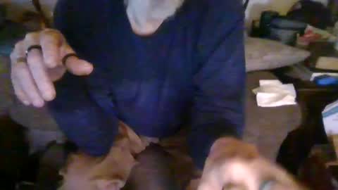 cunnibob online show from 03-02-25, 01:58