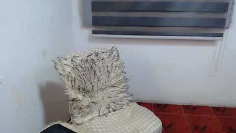 Snapshot of cuppycupcake_2 chatting on 01-10-26, 02:13 Xyrien online show from 01-10-26, 02:13