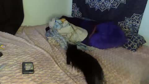 Cline  online show from 02-08-25, 04:47