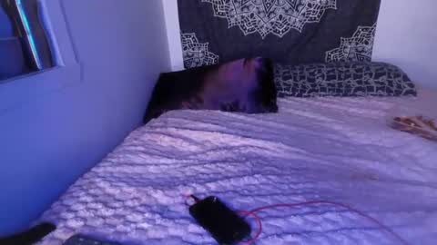 Cline  online show from 03-02-25, 07:21