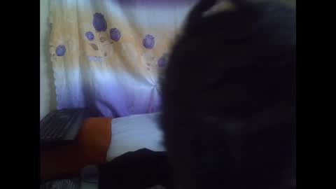 cute_leylah online show from 05-15-26, 07:04