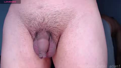 cyber online show from 01-16-25, 01:58