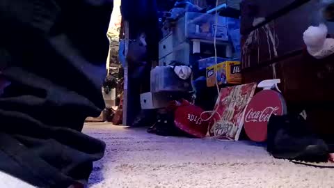 dabangaz4life online show from 12-04-24, 05:49