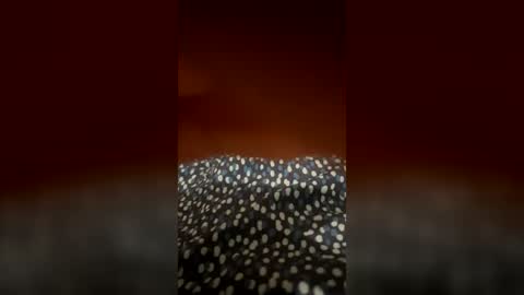 daddy55589 online show from 07-31-26, 01:16