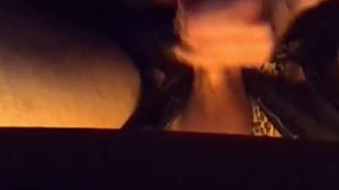 daddypervbuttprincess online show from 02-26-26, 05:56