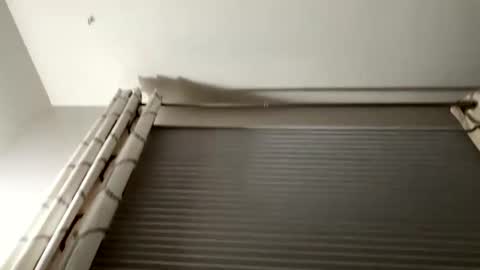 Snapshot of daddyweis chatting on 09-16-25, 02:23 daddyweis online show from 09-16-25, 02:23