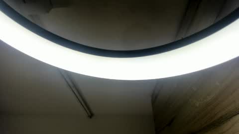 dafne_evaans online show from 05-19-26, 11:27