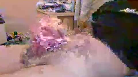 dafo1980 online show from 04-23-26, 10:14