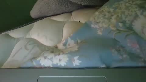 Snapshot of daisnconfusion_ chatting on 03-06-25, 07:10 daisnconfusion_ online show from 03-06-25, 07:10