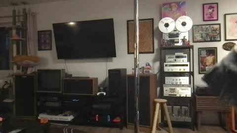 daisymynx online show from 04-06-26, 03:15