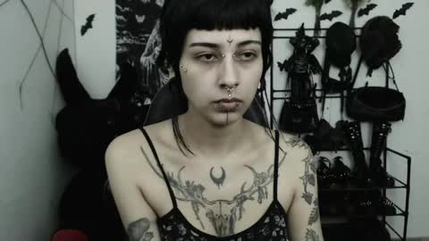 dakota online show from 05-04-26, 03:02