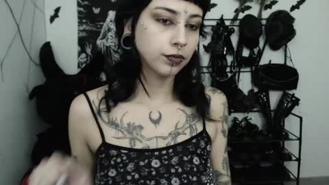 dakota online show from 05-15-26, 02:40