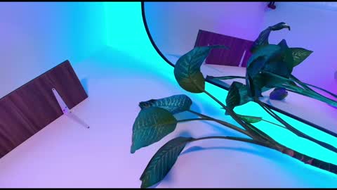 Dalila online show from 11-08-25, 10:48